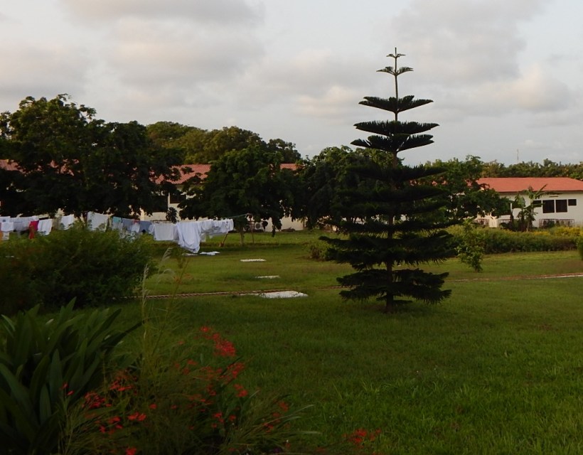 Clothes hanging on the clothesline